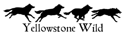 Yellowstone Wild Yellowstone Summit logo