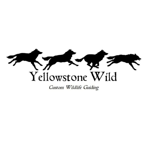 Yellowstone Wild Logo Yellowstone Summit