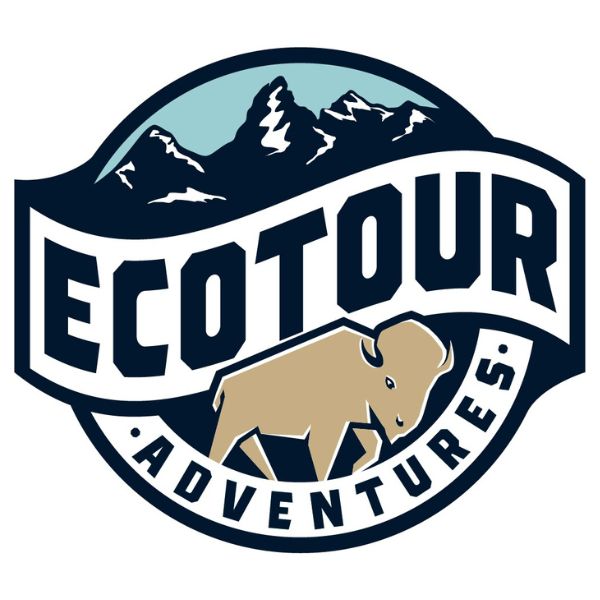 Jackson Hole Ecotour Adventures Yellowstone Summit