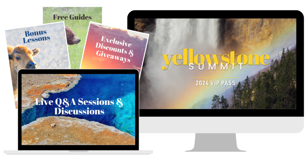 Yellowstone Summit VIP Pass