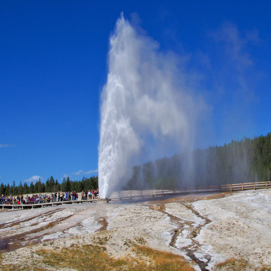 Beehive Geyser Yellowstone Summit