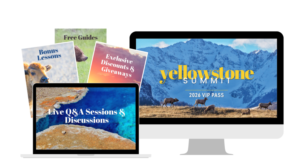 Yellowstone Summit VIP Pass Yellowstone Summit VIP Pass Mockup