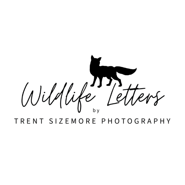 Wildlife letters Trent Sizemore Yellowstone Summit Sponsor