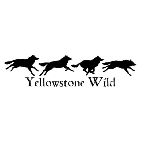 Yellowstone Wild Guide Co Yellowstone Summit Sponsor